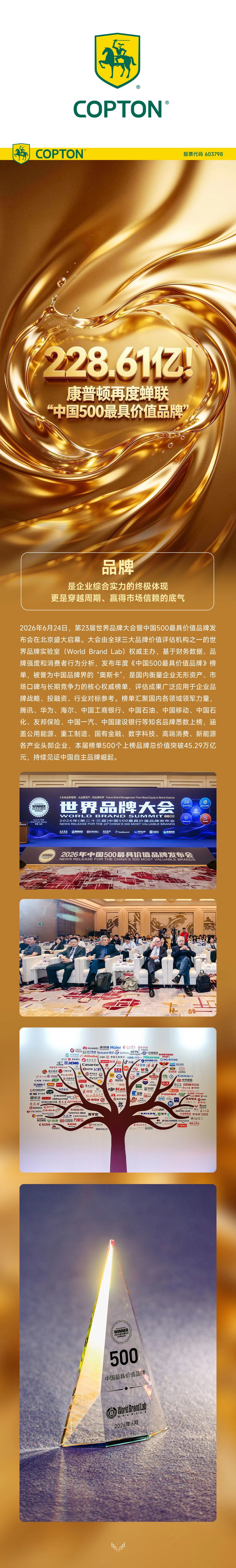 五百价值品牌.jpg